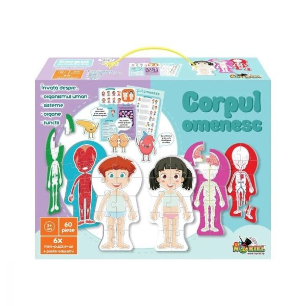 Noriel puzzle – Corpul omenesc