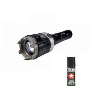 Kit Electrosoc Metalic cu Lanterna si Reglaj Focusat 8810 si Spray Natto , IdeallStore® ,19 cm