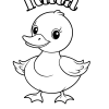 Imagine produs